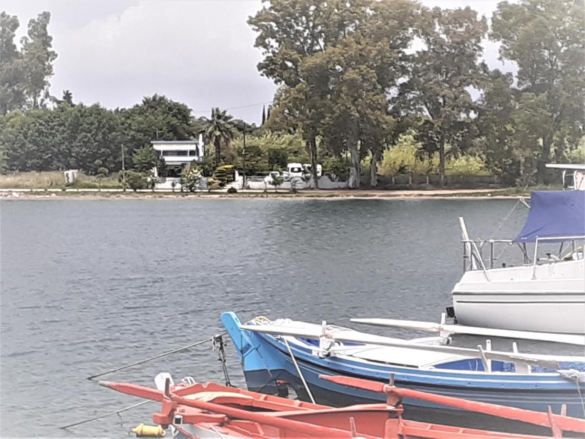 Top Floor On Villa, 3' From Center, By The Sea! Host Is Efi Kwsta Preveza Ngoại thất bức ảnh